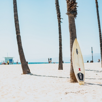 Tabla de surf apoyada en una palmera en la playa