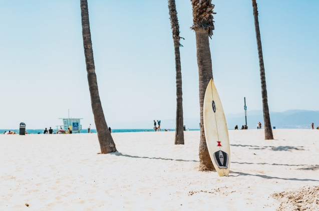 Tabla de surf apoyada en una palmera en la playa