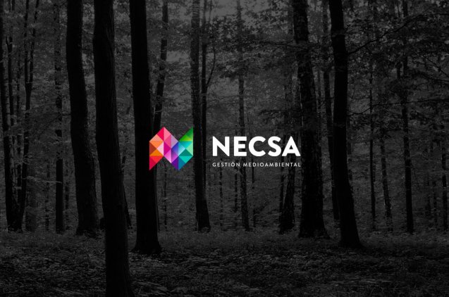 Logotipo de Necsa